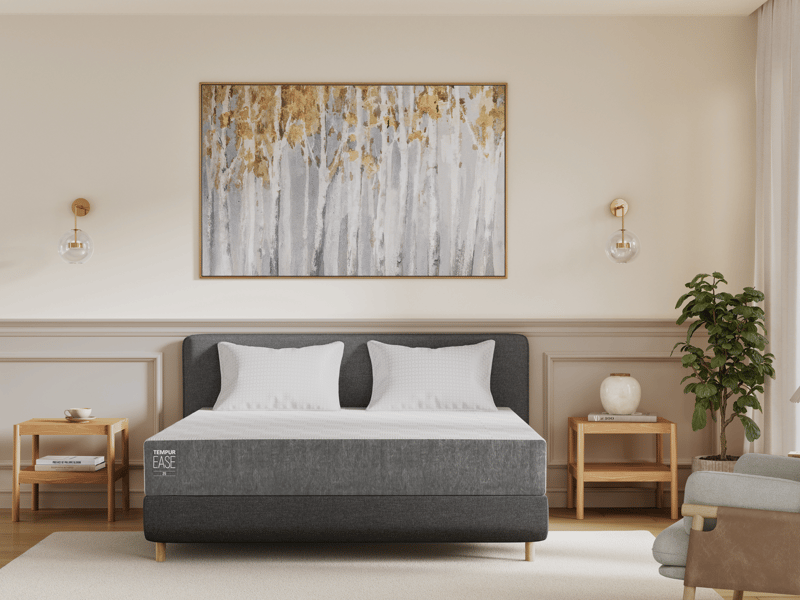 TEMPUR EASE® 25 Mattress - image 2