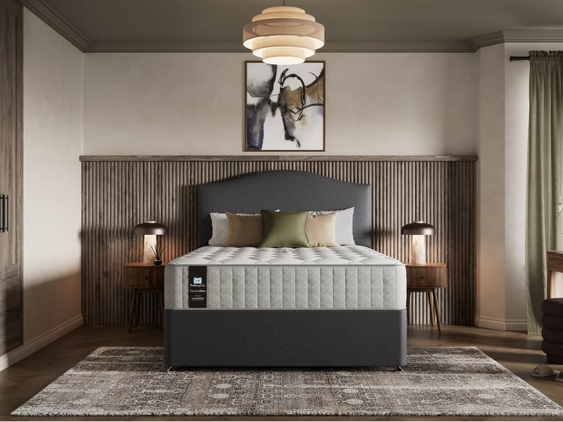 Sealy Decadence AlignSupport Posturepedic Gel Ortho Mattress - image 1
