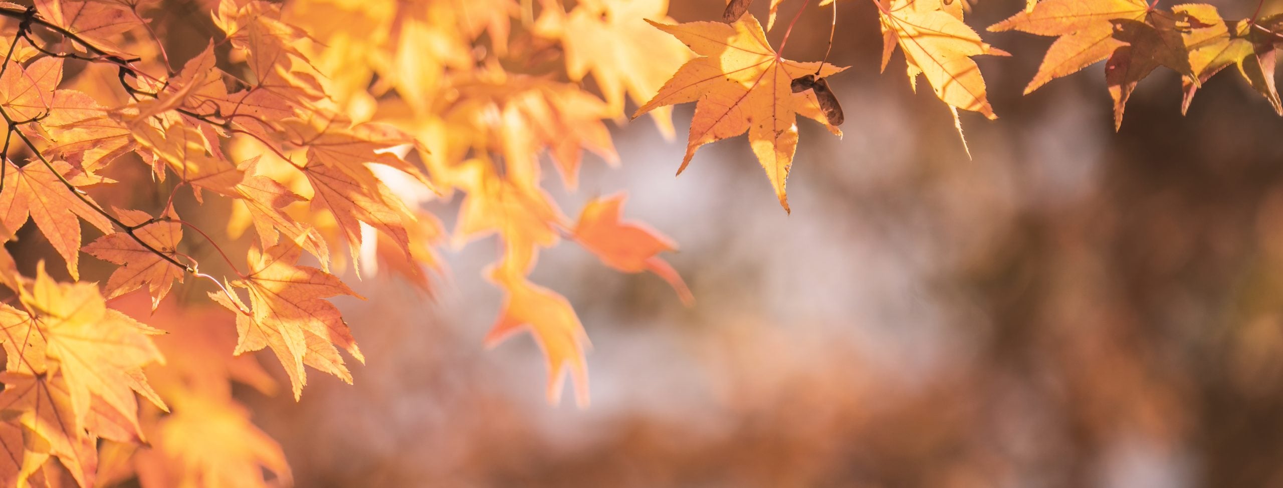 How To Give Your Home A Cosy, Autumnal Vibe