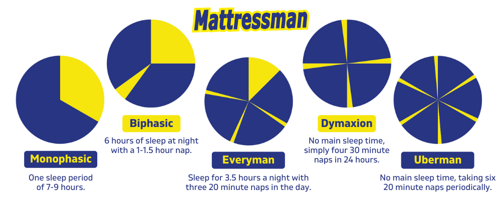 Beyond Monophasic Sleep: Can We Deviate From 8 Hours A Night?