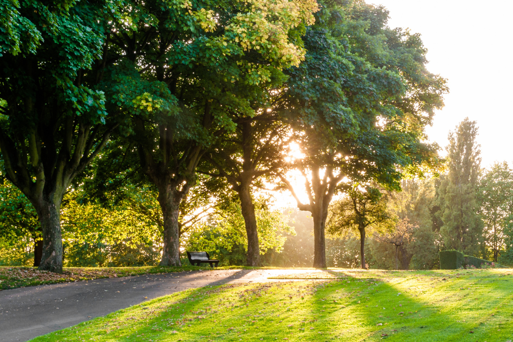 Should Daylight Saving Time End? How Cons Outweigh The Pros