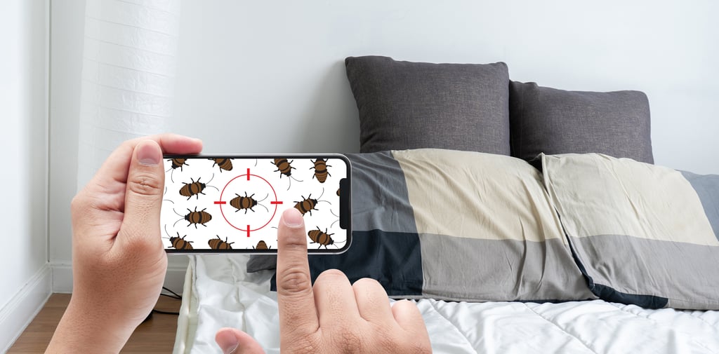 Are Bed Frames Necessary?