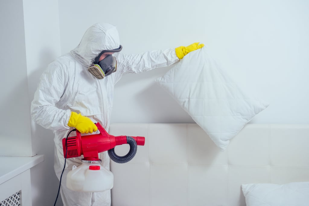 How To Protect Your Bed Against Bed Bugs
