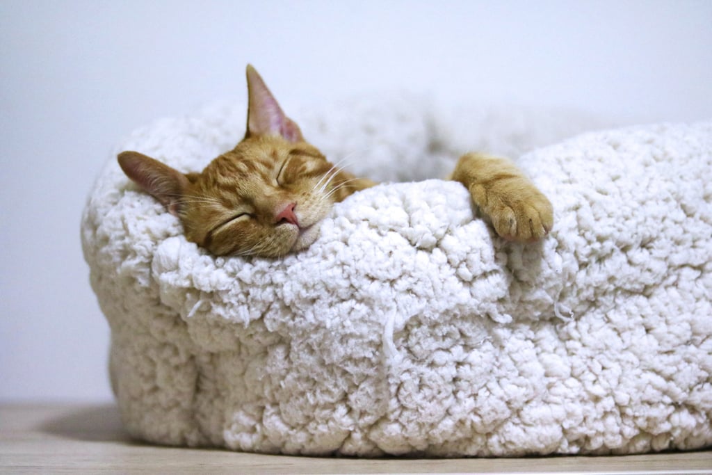 Bedroom Superstitions From Around The World