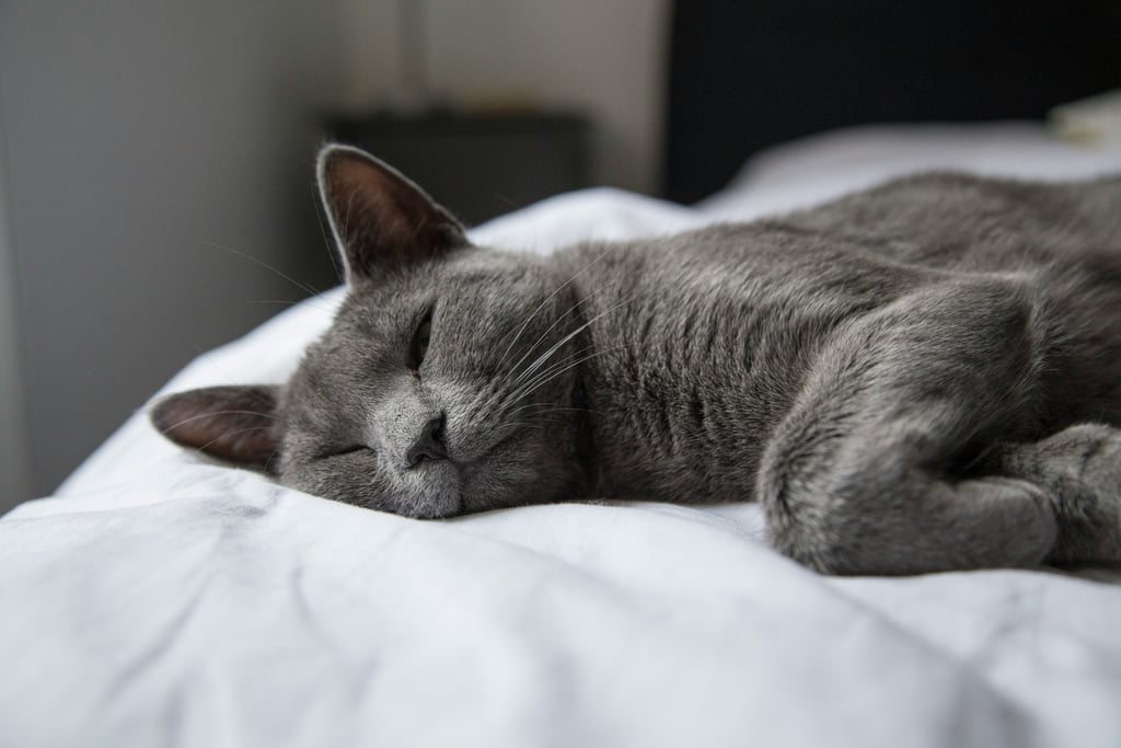 Why Am I So Restless at Night? Causes, Fixes, and the Role Your Mattress Plays