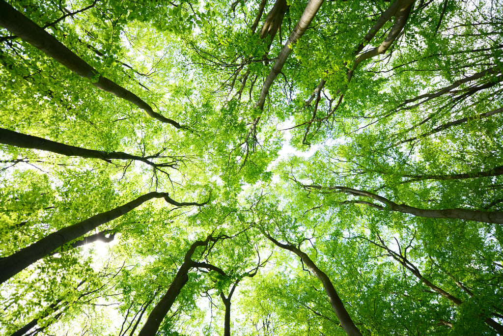 7 Ways In Which Hypnos are Driving Social and Environmental Change