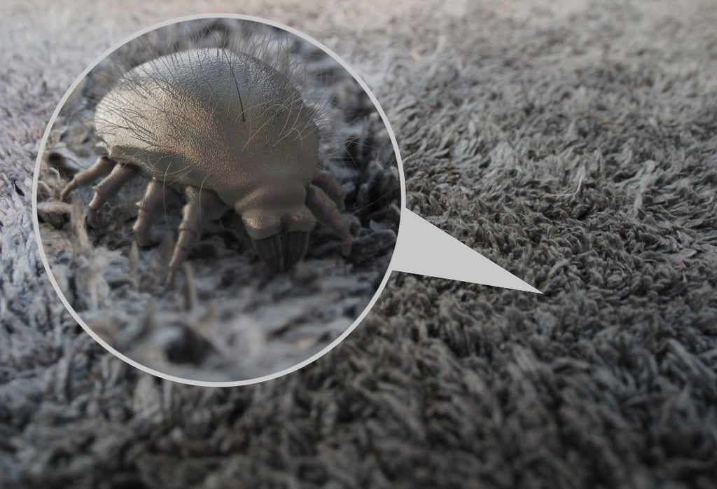 How To Clean Your Duvets And Pillows
