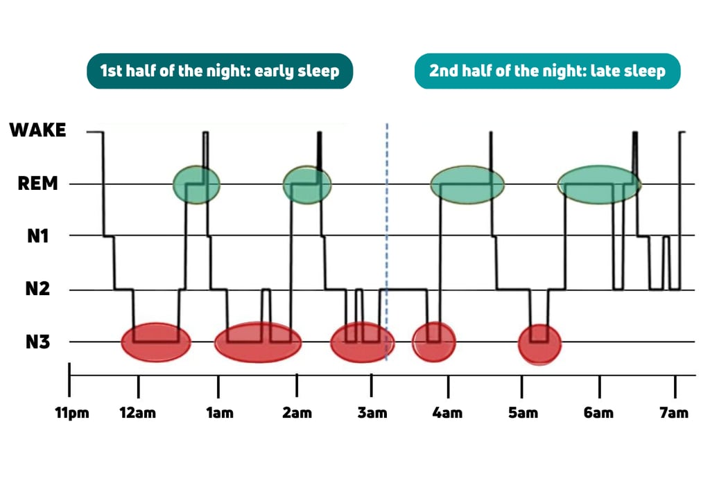How Does Sleep Affect Us?