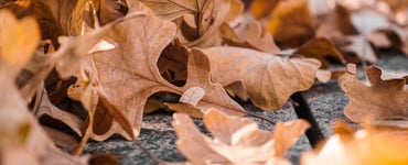 Autumn Sleep Tips Blog Oct 18